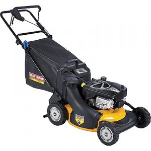 Craftsman Rear Wheel Drive 21