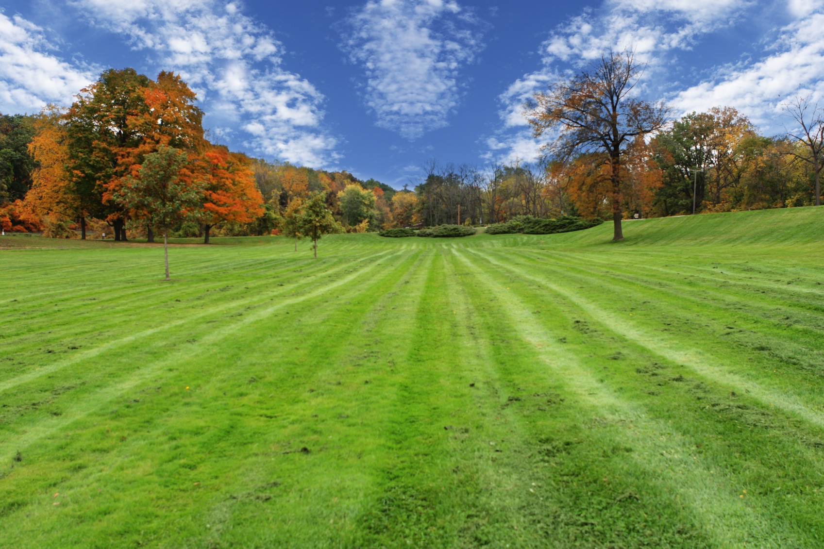 Lawn Mowers » Blog Archive Organic Lawn Care Service - Lawn Mowers