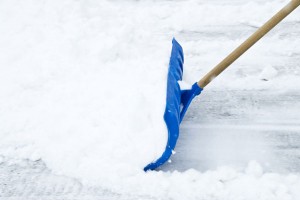 lawn care and snow removal