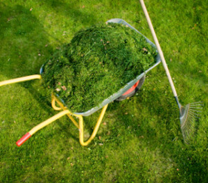 Grass Roots Lawn Care