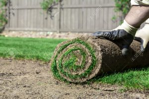 Installing a New Lawn