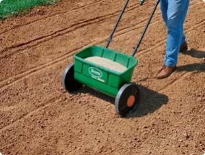 Tips for Seeding a New Lawn